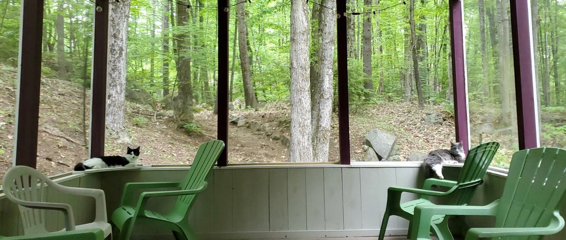 The History of the Quarry