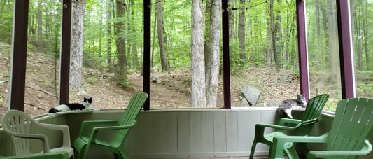 The History of the Quarry