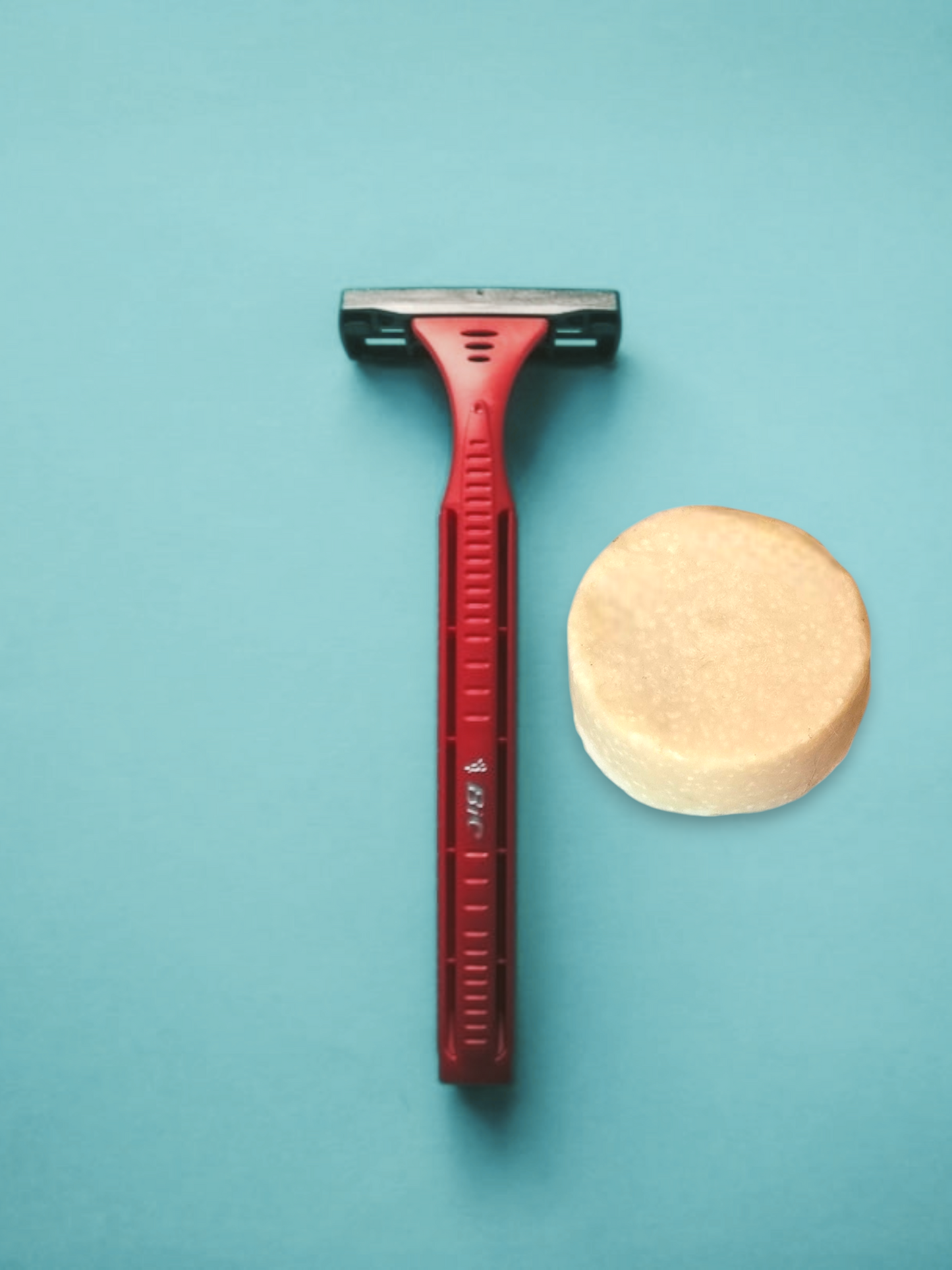 Shave the Day β Shave Soap