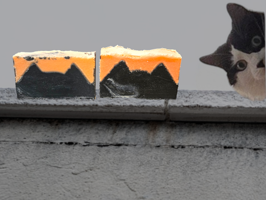 Fall Soap Collection