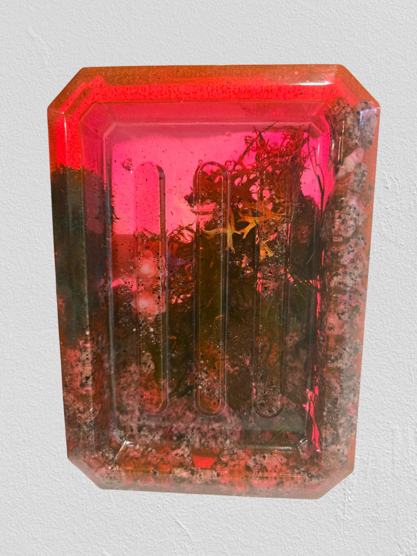 Quarry Rock Soap Dishes