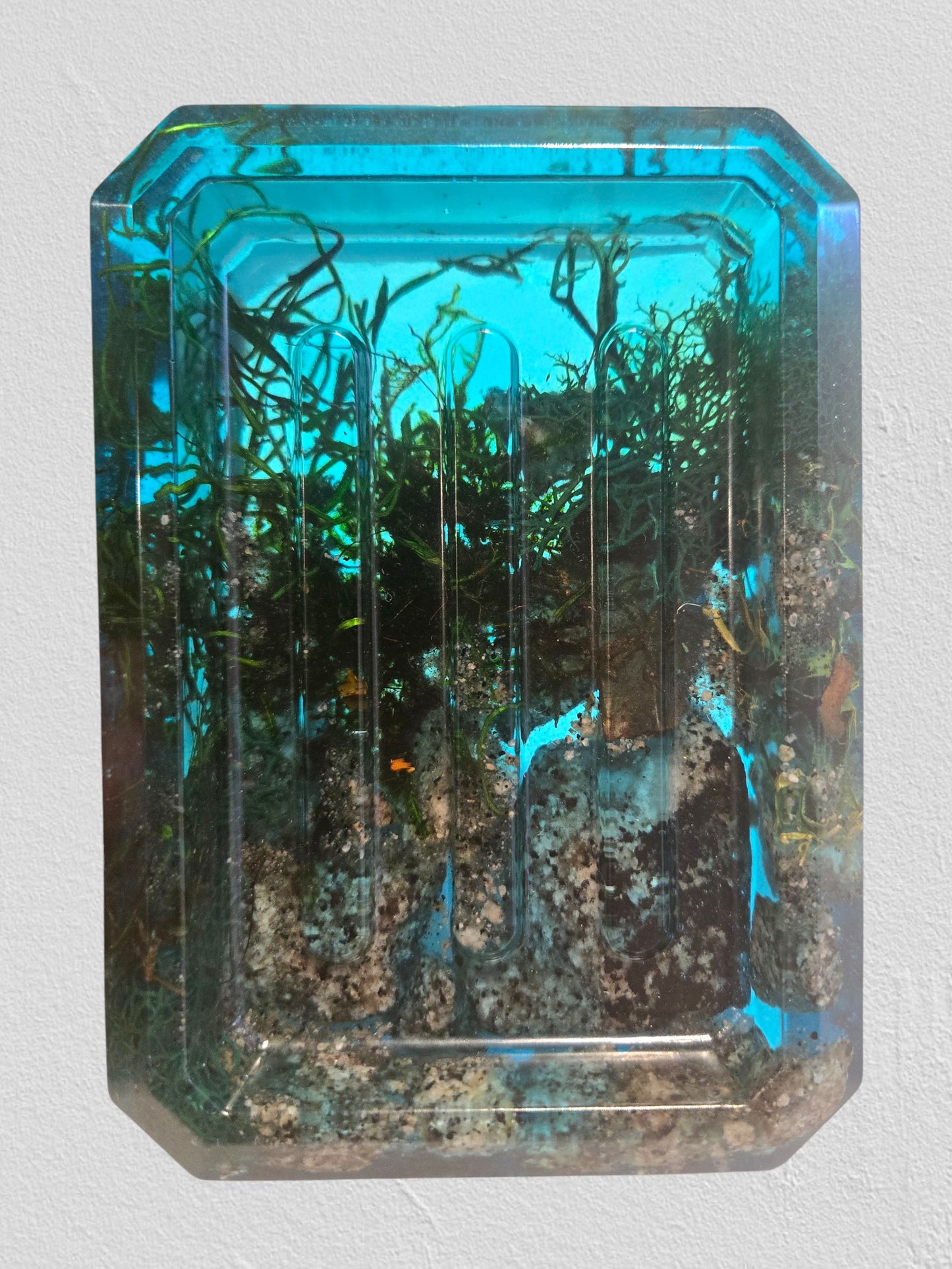 Quarry Rock Soap Dishes