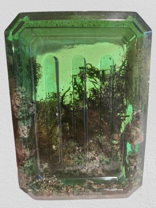 Quarry Rock Soap Dishes