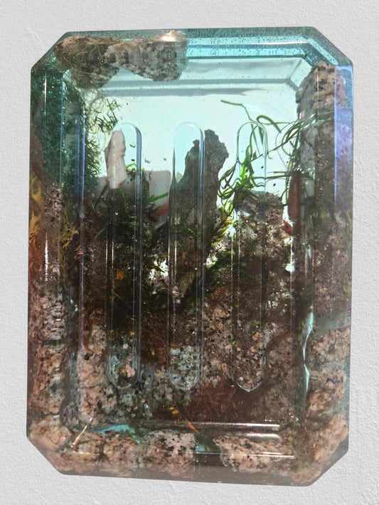 Quarry Rock Soap Dishes